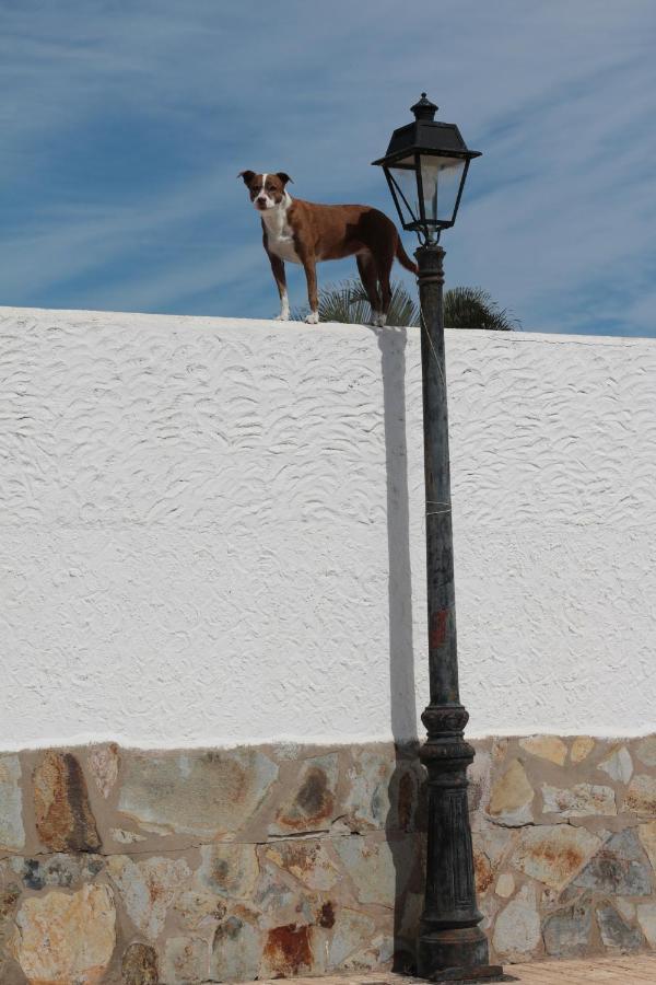 Golf View Apartment - Stunning Ocean View Golf Del Sur San Miguel de Abona Exterior foto